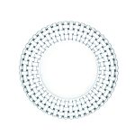 NACHTMANN Bossa Nova Crystal Dinner Plate – 27cm